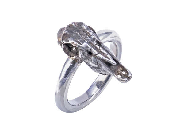 Gemsbok Skull Silver Ring with Black Diamond