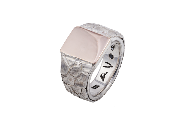 Dry Riverbed Silver Signet Ring with Gold
